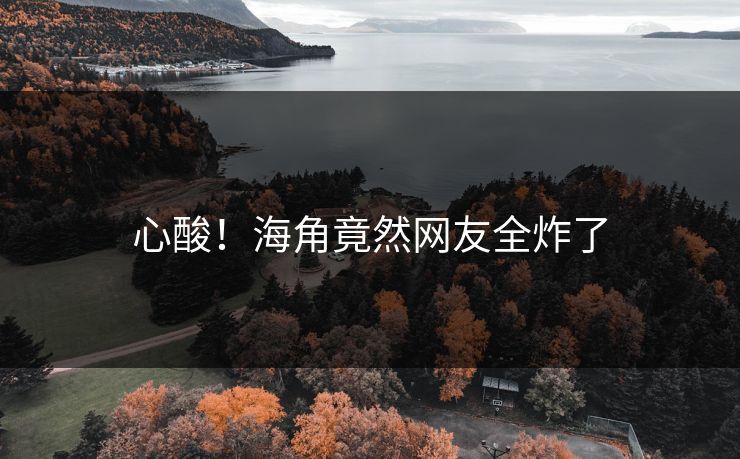 心酸!海角竟然网友全炸了