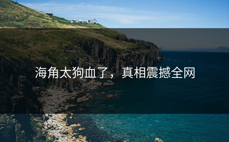 海角太狗血了，真相震撼全网