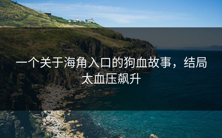 一个关于海角入口的狗血故事，结局太血压飙升