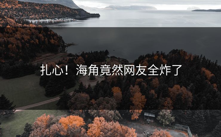 扎心！海角竟然网友全炸了