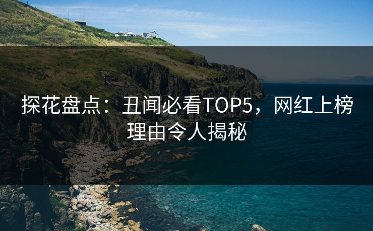 探花盘点：丑闻必看TOP5，网红上榜理由令人揭秘