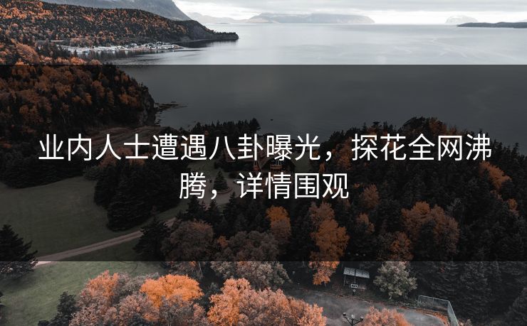 业内人士遭遇八卦曝光，探花全网沸腾，详情围观