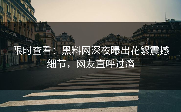 限时查看：黑料网深夜曝出花絮震撼细节，网友直呼过瘾