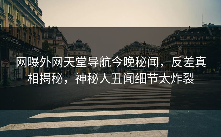网曝外网天堂导航今晚秘闻，反差真相揭秘，神秘人丑闻细节太炸裂