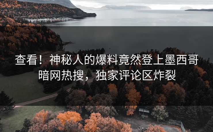 查看！神秘人的爆料竟然登上墨西哥暗网热搜，独家评论区炸裂