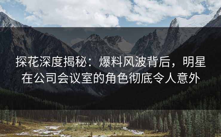 探花深度揭秘：爆料风波背后，明星在公司会议室的角色彻底令人意外