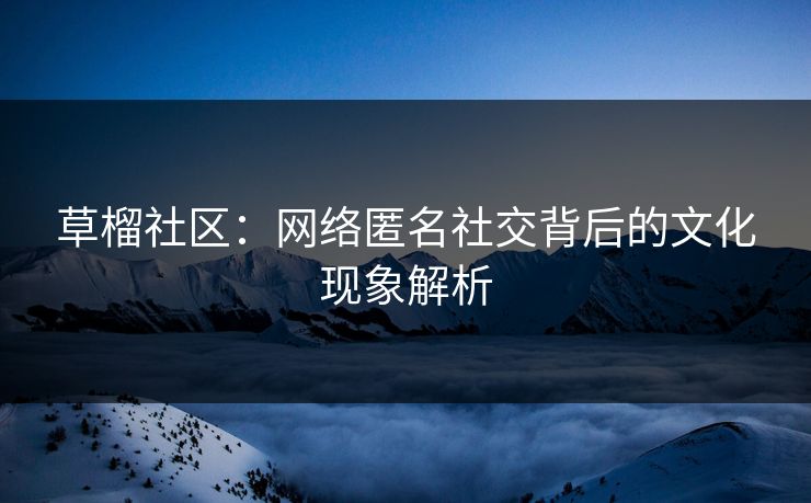 草榴社区：网络匿名社交背后的文化现象解析