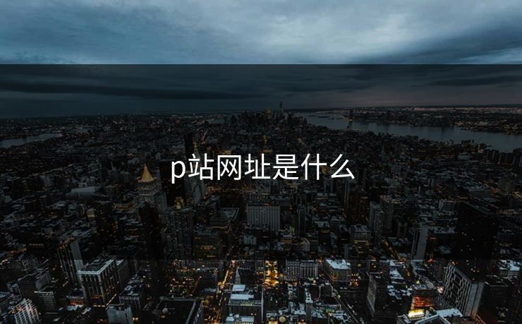 p站网址是什么